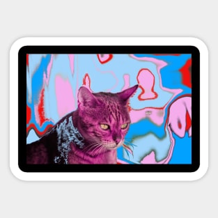 Cat / Swiss Artwork Photography Sticker